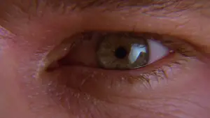 Backdrop to the movie "Batman Forever" #618928