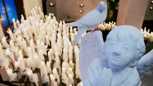 Backdrop to the movie "The Killer" #796202