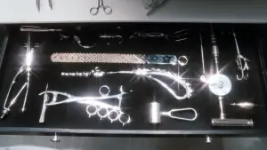 Backdrop to the movie "Little Shop of Horrors" #668273