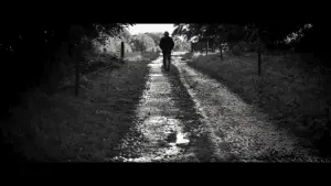 Backdrop to the movie "The Days of Trees" #450911