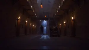 Backdrop to the movie "From the Ashes" #373444