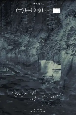 Poster to the movie "Songs of Gentle Night" #784717