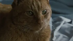 Backdrop to the movie "Aliens" #181856