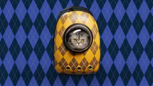 Backdrop to the movie "Argylle" #170844