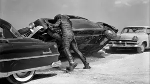 Backdrop to the movie "Revenge of the Creature" #387081