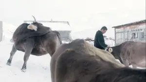 Backdrop to the movie "A Piece of Sky" #420425