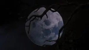 Backdrop to the movie "Army of Darkness" #669654