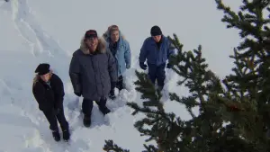 Backdrop to the movie "National Lampoon