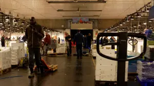 Backdrop to the movie "JAUME" #473199