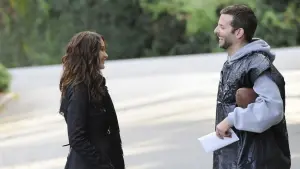 Backdrop to the movie "Silver Linings Playbook" #237469