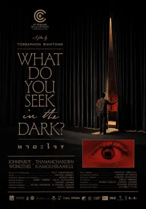 Poster to the movie "What Do You Seek in the Dark?" #824323