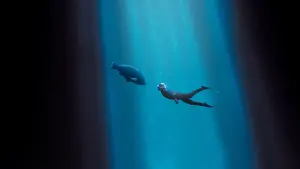 Backdrop to the movie "Blueback" #401987