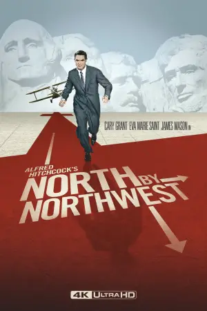 Poster to the movie "North by Northwest" #672570
