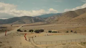 Backdrop to the movie "Nope" #637387