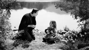 Backdrop to the movie "Frankenstein" #854537