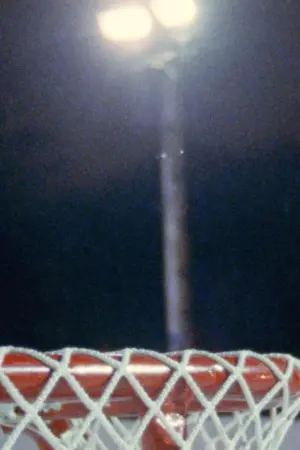 Poster to the movie "Skate!" #401900