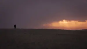 Backdrop to the movie "The Ballad of Buster Scruggs" #732205