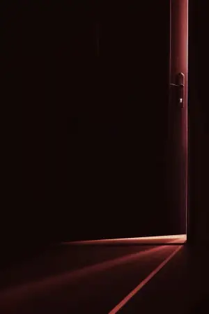 Poster to the movie "The Housemaid