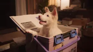 Backdrop to the movie "Gohan" #766288