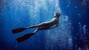 Backdrop to the movie "The Reef: Stalked" #389424