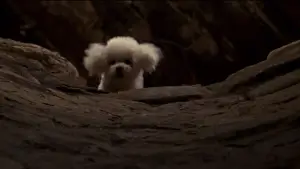 Backdrop to the movie "The Silence of the Lambs" #749466