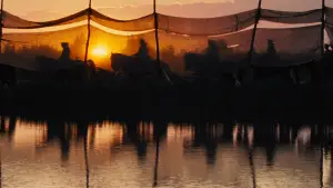 Backdrop to the movie "War Horse" #930688