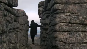 Backdrop to the movie "D Is for Distance" #770057