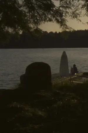 Poster to the movie "Falcon Lake" #760046