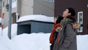 Backdrop to the movie "Moonlit Winter" #392400