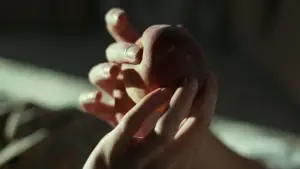 Backdrop to the movie "Call Me by Your Name" #595848