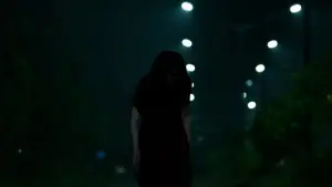 Backdrop to the movie "Shutter" #692208