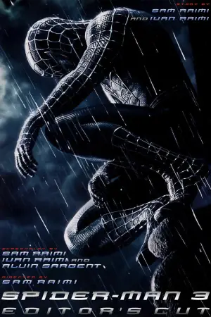 Poster to the movie "Spider-Man 3" #570620