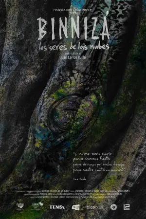 Poster to the movie "Binnizá, The Beings Of The Clouds" #930616