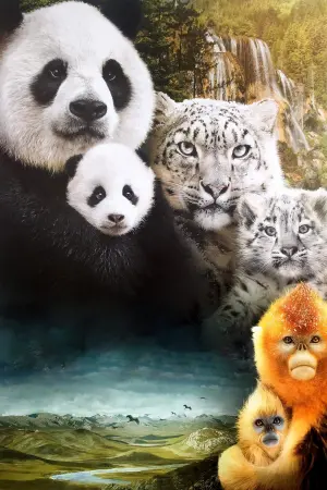 Poster to the movie "Born in China" #483508