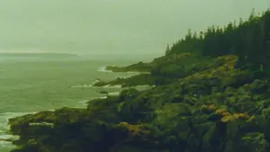 Watch film The Night Country | The Night Country (16mm, trailer)