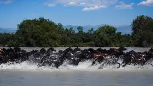 Backdrop to the movie "the legend" #550795