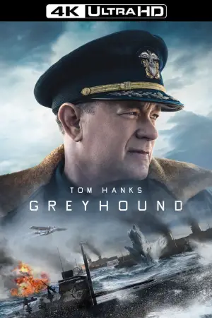 Greyhound