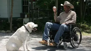 Backdrop to the movie "The Magic of Belle Isle" #247305