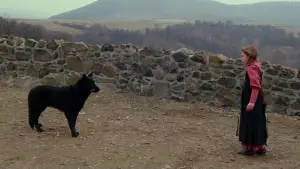 Backdrop to the movie "Laurin" #645260