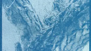 Backdrop to the movie "Farewell, My Tree" #782132