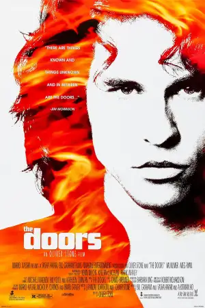 Poster to the movie "The Doors" #878111