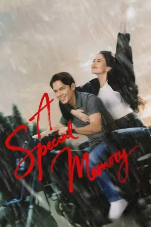Poster to the movie "A Special Memory" #767123