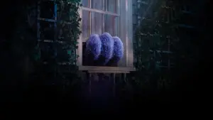 Backdrop to the movie "IF" #430877