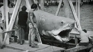 Backdrop to the movie "Jaws @ 50: The Definitive Inside Story" #680242