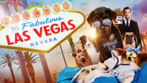 Backdrop to the movie "Show Dogs" #676222