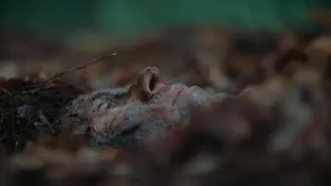 Backdrop to the movie "The Woods Are Real" #415872