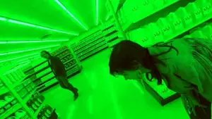 Backdrop to the movie "Natural Born Killers" #810502