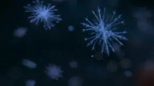 Backdrop to the movie "Frozen II" #576027