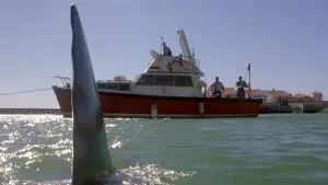 Backdrop to the movie "Shark Attack 2" #922111