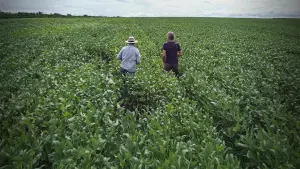 Backdrop to the movie "C